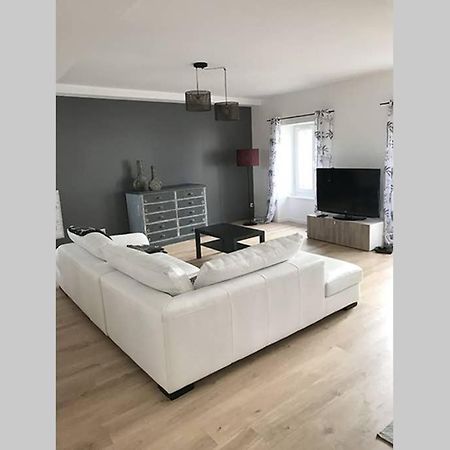 Annonay centre, grand appartement cosy, 3 chambres Extérieur photo