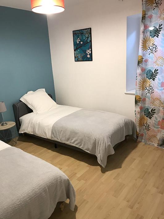 Annonay centre, grand appartement cosy, 3 chambres Extérieur photo